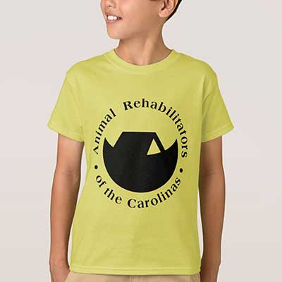 Child Protection - Image 4